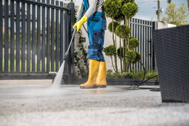 Boat and Dock Cleaning in Mead, WA